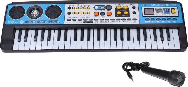 Elektronické klávesy s mikrofonem a rádiem 54 cm