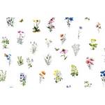  Bavlněná látka metráž Voňavá louka š.160